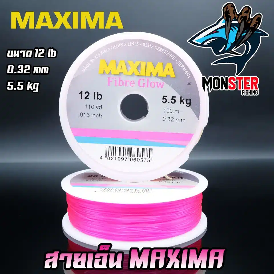 สายเอ็น MAXIMA